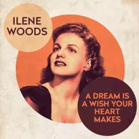 A Dream Is A Wish Your Heart Makes(Instrumental version originally performed by Ilene Woods)(无和声版)-cover