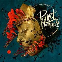 various-artists-doon-lang-cover-image