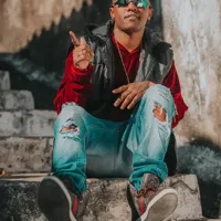 Amante Fiel-cover
