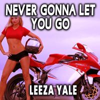 Never Gonna Let You Go-cover