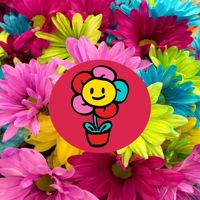 latin-america-at-the-peak-of-success-playlist-cover-image