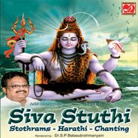 botany paatamundhi SHIVA-cover