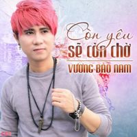 Xin em đừng khóc vu quy-cover