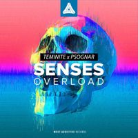 The Great Divide(Teminite & The Arcturians Remix)-cover