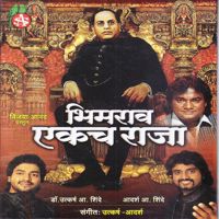 Deva Tuzya Gabharyala-cover
