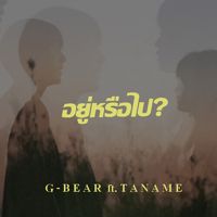 Ayo G-cover
