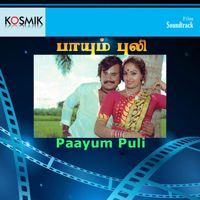 pothukittu short c2