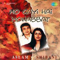 Hogayi hai Mohabat-cover