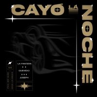 Cayó La Noche-cover