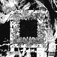 Ndoshta-cover
