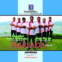 DIROHAMI DIROHAKKI-cover