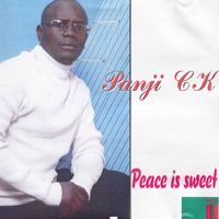 Salah Nombor-cover