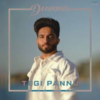 Akh Teri-cover