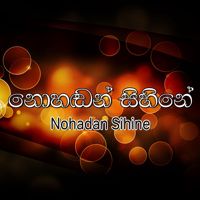 සුදු අරලියා මල new* Sudu Araliya Mala