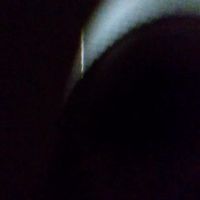 lebronboltonjb3873
