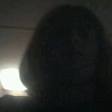 c_bug2006