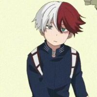 Shoto.todoroki