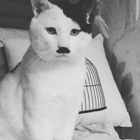 LaguParody