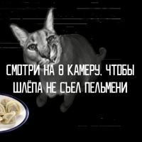 короблэйплэй