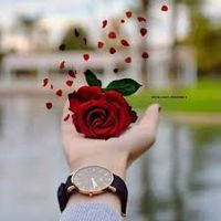 MalikZada_star288