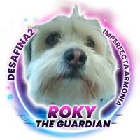 Roky🇪🇸DESAFINA2