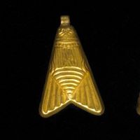 Golden_Fly