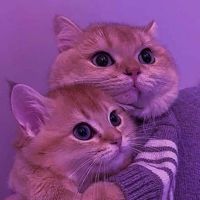 Sgjgdrykn