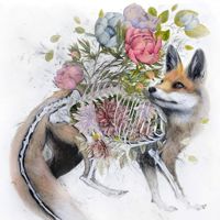 LoneKitsune