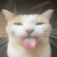Izzy_singing