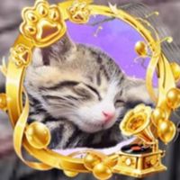 ⭐ぽ〜き〜ꧦ𐅁𐀸𐋠(ΦωΦ)⭐