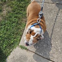 Avalynn_star10360806