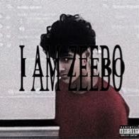GanZeebo