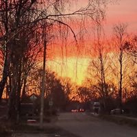 Alexandra_s_star