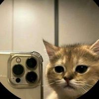 Selina_12-51