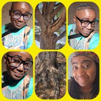 DeneceNeceiBrown
