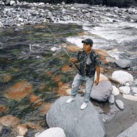 62030308785