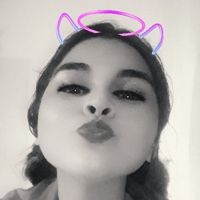 chola8502341