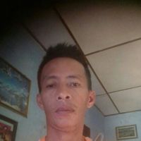 MSangkut78_star320