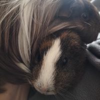 RachelH