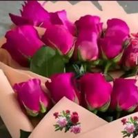 Nigora♐🎼🎧🎤🍒
