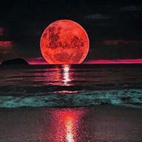 mary_star66192897