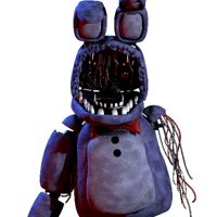 Risingstar79305559