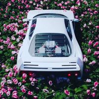 Sardor__star542