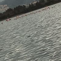 deniz__star065