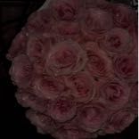 ElinaNa_star97749563