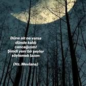 esved_starmaker