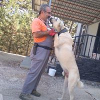 oğuzhanaktulga