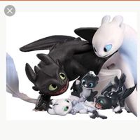💥💥Nightfury💥💥