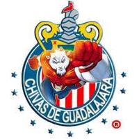FernandoRuizbabo