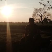 Risingstar42925328